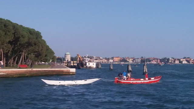 Biennale Gardens