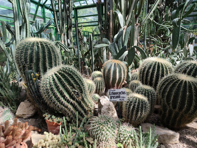 Bucharest Botanical Garden