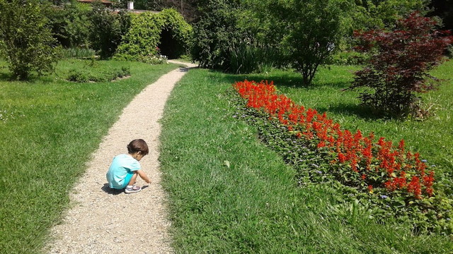 Bucharest Botanical Garden