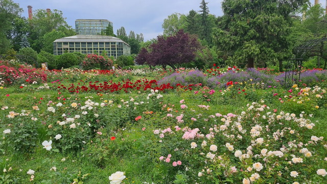 Bucharest Botanical Garden