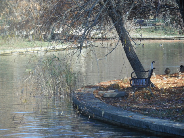 Bucharest Botanical Garden