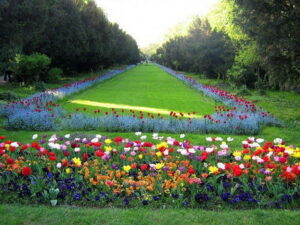 tourist attractions in Bucharest Romania