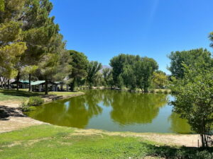 Floyd Lamb Park