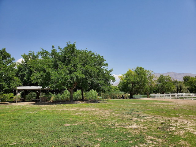 Floyd Lamb Park