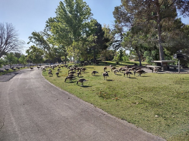 Floyd Lamb Park Las Vegas