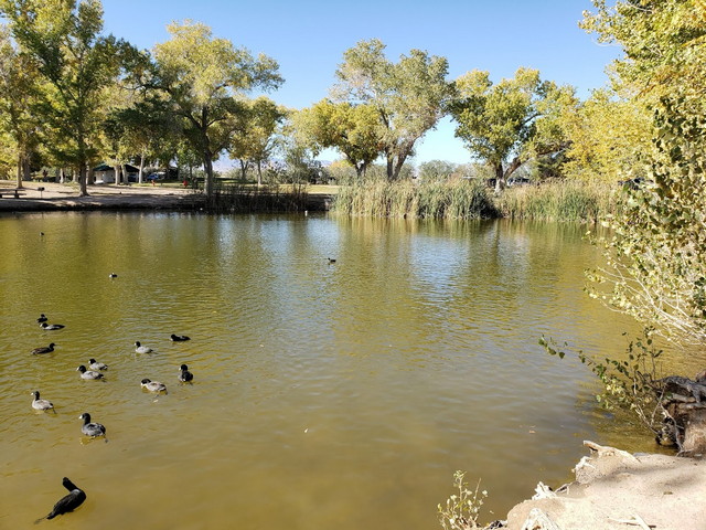 Floyd Lamb Park