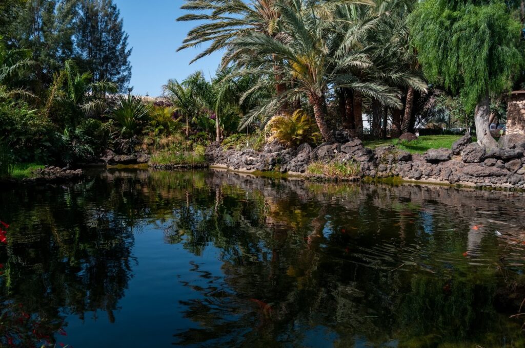 Fuerteventura Botanical Garden