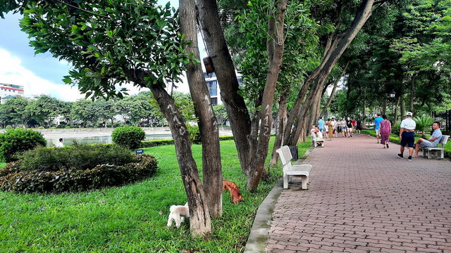 Indira Gandhi Park Hanoi -  حديقة انديرا غاندي هانوي