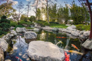 Japanese Friendship Garden San Diego