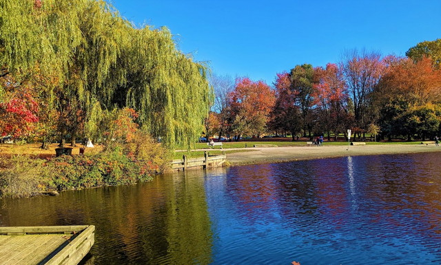 Trout Lake Park Vancouver
