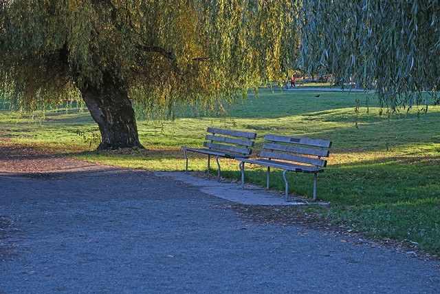 Trout Lake Park