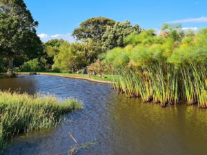 tourist attractions in Cape Town