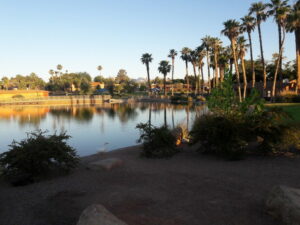 Lorenzi Park