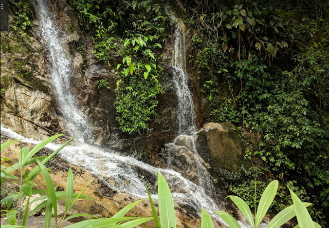 Mae Kampong Waterfall - best waterfalls in chiang mai