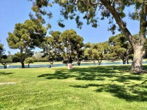 Mission Bay Park San