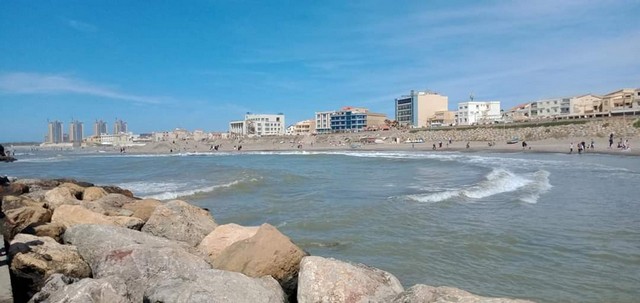 شاطئ النخيل الجزائر