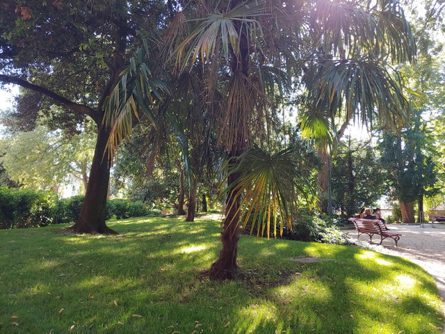 best parks in Venice