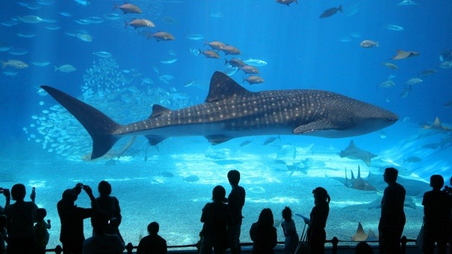fun things to do in Paris France