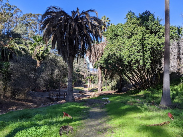 Presidio Park San Diego