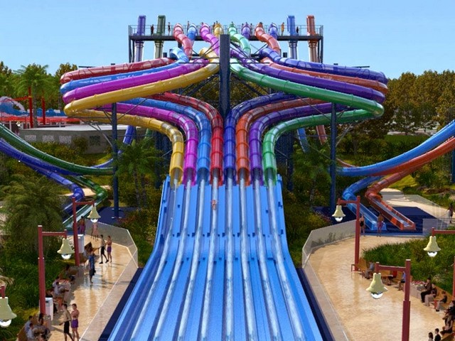 fun activities in Sydney Australia