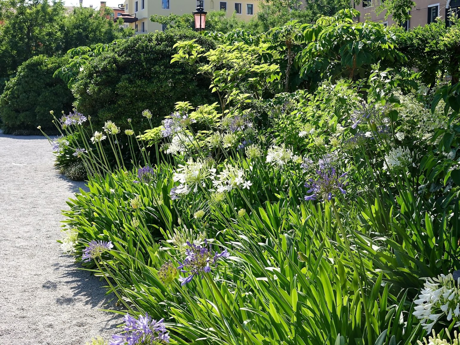 Royal Gardens of Venice