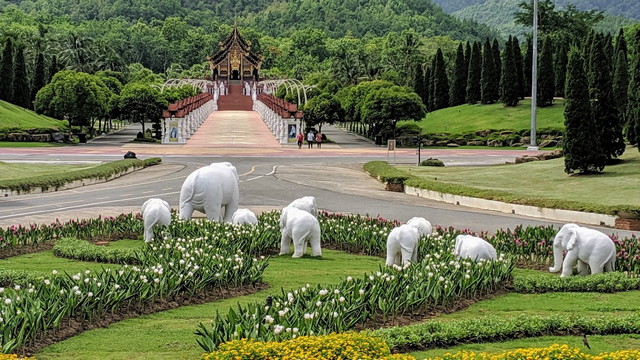 best parks in Chiang Mai
