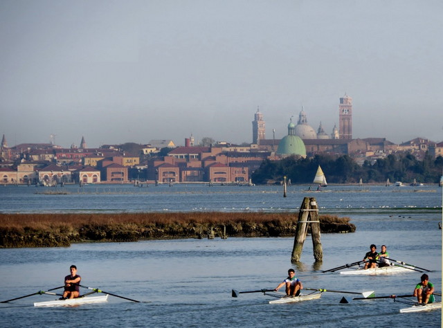 San Giuliano park Venice
