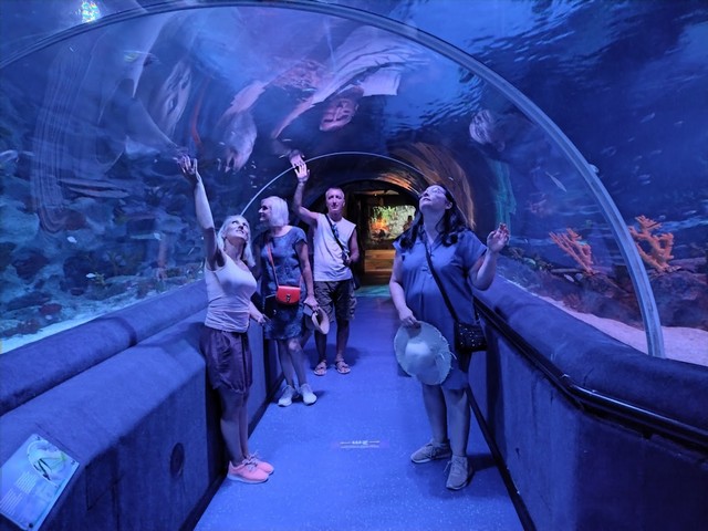 cool things to do in Istanbul