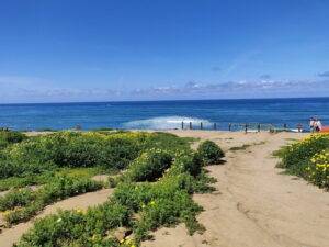 Sunset Cliffs Natural Park San Diego