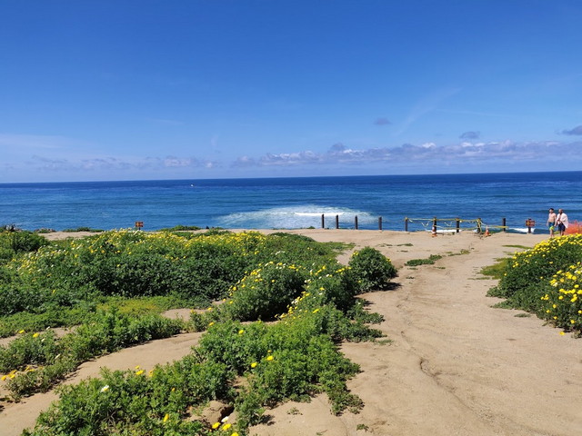 Sunset Cliffs Natural Park San Diego