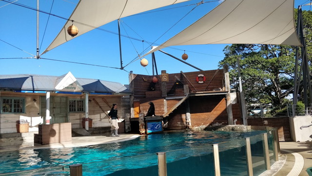 Taronga Zoo Sydney Australia