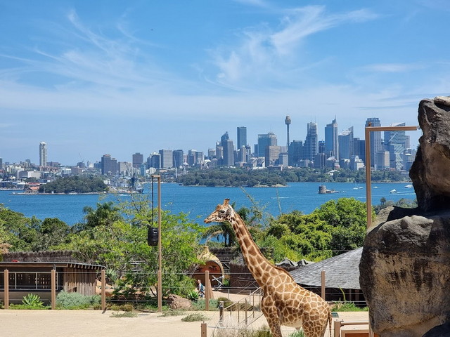 Taronga Zoo Sydney