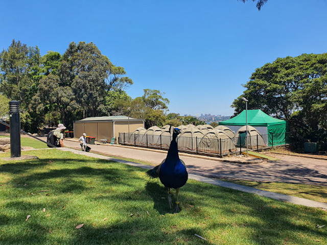 Taronga Zoo