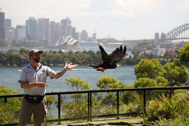 Taronga Zoo Sydney Map