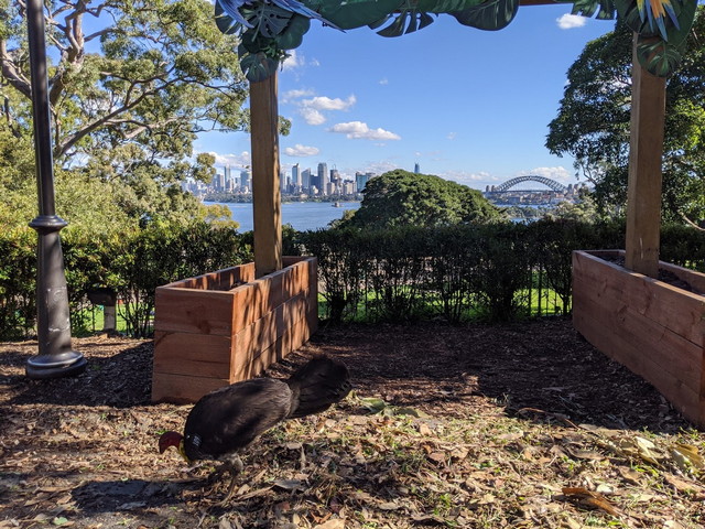 Taronga Zoo Sydney Tickets