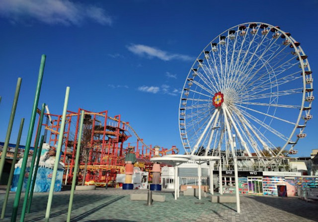 most fun things to do in toronto