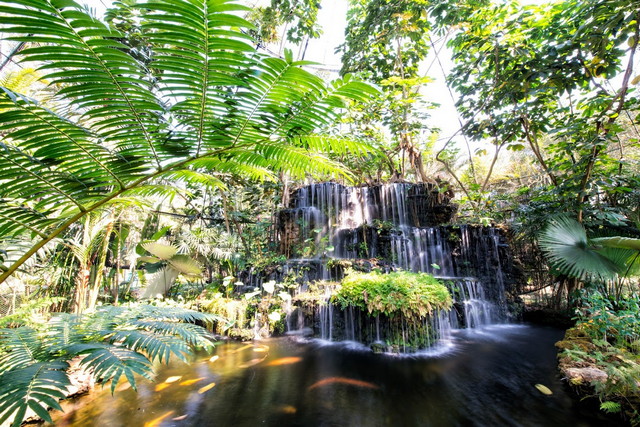 nice parks in Chiang Mai