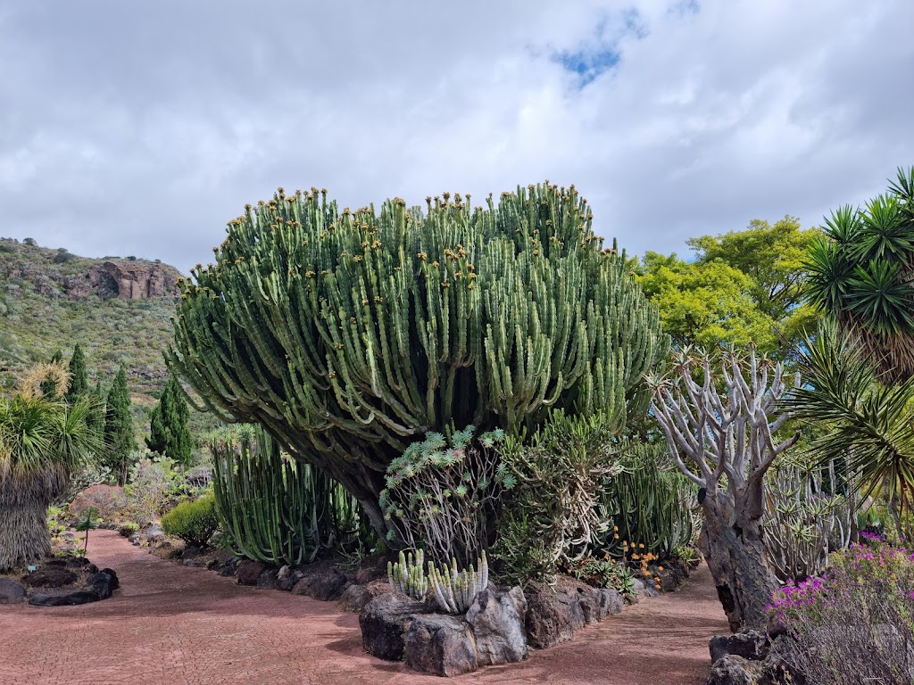 Viera y Clavijo Canary Botanical Garden