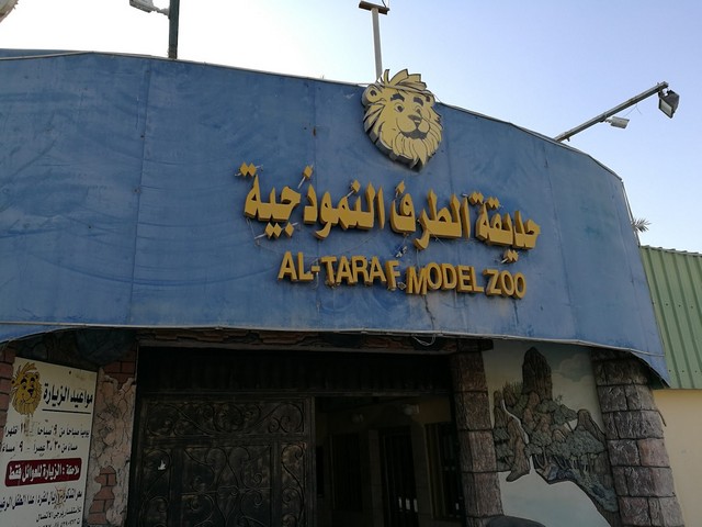 best things to do in Ahsa