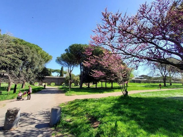 Aqueduct Park Rome
