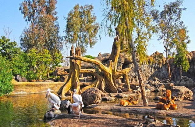 tourist attractions in valencia