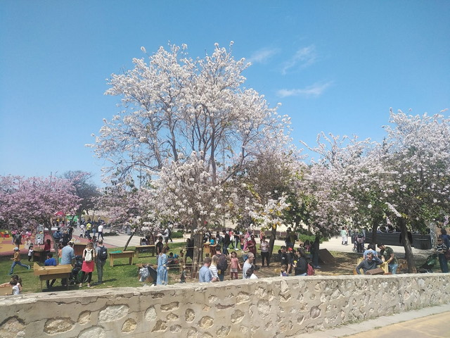 Parc de la Riera Balearic Islands