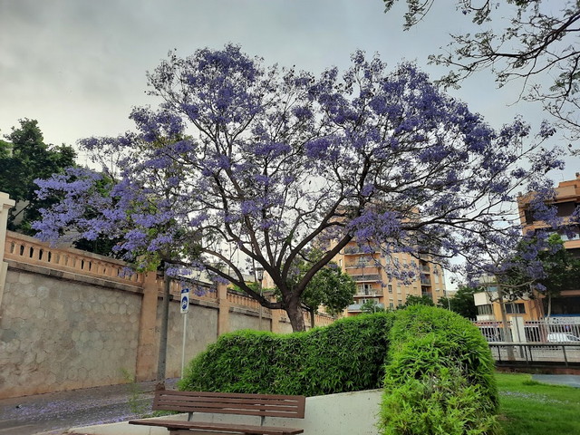 Balearic Islands Parks