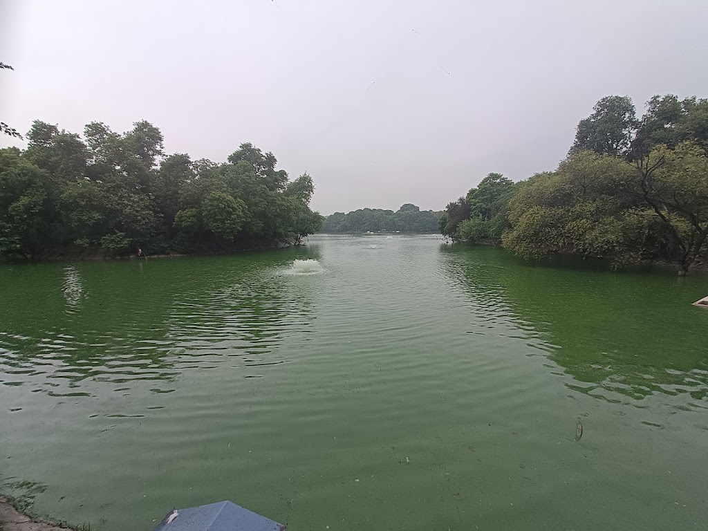 Hauz Khas District Park New Delhi - Delhi Hauz Khas Park - Hauz Khas District Park New Delhi Delhi