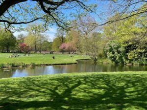 Het Park - family friendly things to do in Amsterdam