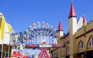 fun activities to do in Sydney Australia
