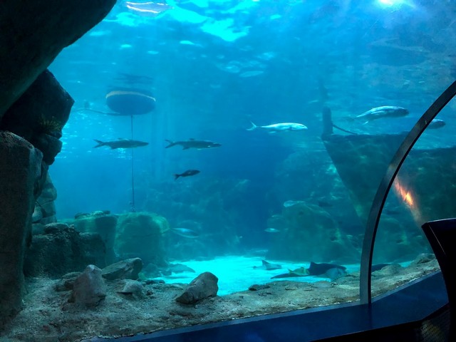 Istanbul fun activities