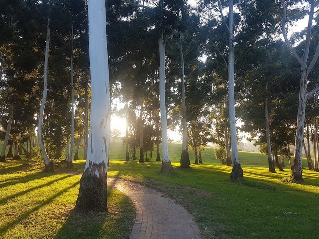 James & Ethel Gray Park Johannesburg
