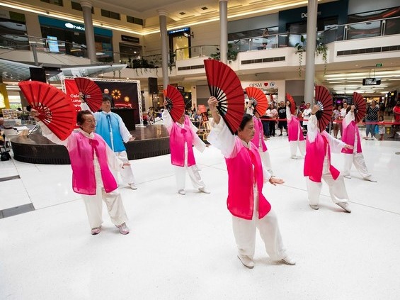 Auckland shopping centres
