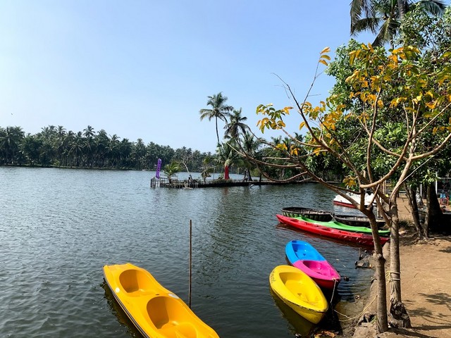 things to do in Kerala with kids